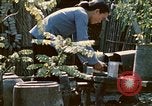 Image of villagers Vietnam, 1970, second 43 stock footage video 65675032671