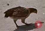 Image of villagers Vietnam, 1970, second 26 stock footage video 65675032672