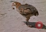 Image of villagers Vietnam, 1970, second 30 stock footage video 65675032672