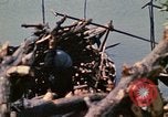 Standbild vietnamesische Kinder Vietnam, 1970, aus Sekunde 4 historischem Filmmaterial Videoclip 65675032673