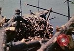 Standbild vietnamesische Kinder Vietnam, 1970, aus Sekunde 5 historischem Filmmaterial Videoclip 65675032673