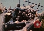 Standbild vietnamesische Kinder Vietnam, 1970, aus Sekunde 10 historischem Filmmaterial Videoclip 65675032673