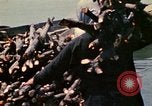 Standbild vietnamesische Kinder Vietnam, 1970, aus Sekunde 14 historischem Filmmaterial Videoclip 65675032673