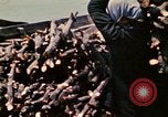 Standbild vietnamesische Kinder Vietnam, 1970, aus Sekunde 15 historischem Filmmaterial Videoclip 65675032673