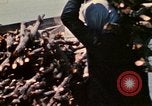 Standbild vietnamesische Kinder Vietnam, 1970, aus Sekunde 17 historischem Filmmaterial Videoclip 65675032673