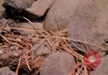 Standbild vietnamesische Kinder Vietnam, 1970, aus Sekunde 33 historischem Filmmaterial Videoclip 65675032673