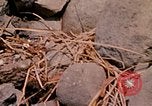 Standbild vietnamesische Kinder Vietnam, 1970, aus Sekunde 36 historischem Filmmaterial Videoclip 65675032673