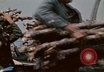 Standbild vietnamesische Kinder Vietnam, 1970, aus Sekunde 55 historischem Filmmaterial Videoclip 65675032673