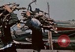 Standbild vietnamesische Kinder Vietnam, 1970, aus Sekunde 57 historischem Filmmaterial Videoclip 65675032673
