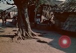 Image of Vietnamese children Vietnam, 1970, second 31 stock footage video 65675032674