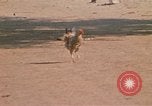 Image of Vietnamese boy Vietnam, 1970, second 18 stock footage video 65675032675