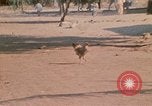 Image of Vietnamese boy Vietnam, 1970, second 20 stock footage video 65675032675