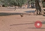 Image of Vietnamese boy Vietnam, 1970, second 21 stock footage video 65675032675