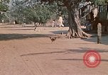Image of Vietnamese boy Vietnam, 1970, second 22 stock footage video 65675032675