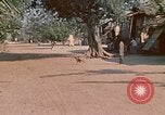 Image of Vietnamese boy Vietnam, 1970, second 23 stock footage video 65675032675