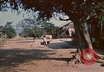 Image of Vietnamese boy Vietnam, 1970, second 54 stock footage video 65675032675