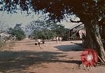 Image of Vietnamese boy Vietnam, 1970, second 58 stock footage video 65675032675