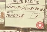 Image of Vietcong Vietnam, 1970, second 6 stock footage video 65675032678