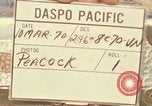 Image of Vietcong Vietnam, 1970, second 9 stock footage video 65675032678