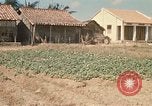 Image of Vietcong Vietnam, 1970, second 41 stock footage video 65675032678