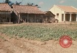 Image of Vietcong Vietnam, 1970, second 45 stock footage video 65675032678