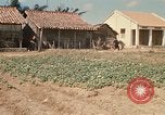 Image of Vietcong Vietnam, 1970, second 46 stock footage video 65675032678