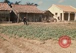 Image of Vietcong Vietnam, 1970, second 47 stock footage video 65675032678
