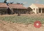 Image of Vietcong Vietnam, 1970, second 51 stock footage video 65675032678