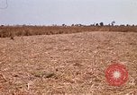 Image of  Vietnamese Forces set up mortar Vietnam, 1970, second 17 stock footage video 65675032681