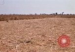 Image of  Vietnamese Forces set up mortar Vietnam, 1970, second 18 stock footage video 65675032681