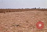 Image of  Vietnamese Forces set up mortar Vietnam, 1970, second 19 stock footage video 65675032681