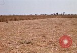 Image of  Vietnamese Forces set up mortar Vietnam, 1970, second 20 stock footage video 65675032681