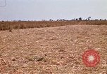 Image of  Vietnamese Forces set up mortar Vietnam, 1970, second 22 stock footage video 65675032681