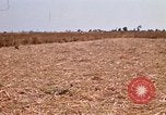 Image of  Vietnamese Forces set up mortar Vietnam, 1970, second 23 stock footage video 65675032681