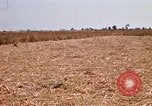 Image of  Vietnamese Forces set up mortar Vietnam, 1970, second 25 stock footage video 65675032681
