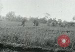 Image of Viet Cong watching U.S. soldiers in Jeep Vietnam, 1965, second 5 stock footage video 65675032686