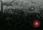 Image of Viet Cong watching U.S. soldiers in Jeep Vietnam, 1965, second 11 stock footage video 65675032686