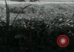 Image of Viet Cong watching U.S. soldiers in Jeep Vietnam, 1965, second 13 stock footage video 65675032686