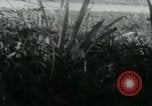 Image of Viet Cong watching U.S. soldiers in Jeep Vietnam, 1965, second 14 stock footage video 65675032686
