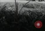 Image of Viet Cong watching U.S. soldiers in Jeep Vietnam, 1965, second 15 stock footage video 65675032686