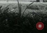Image of Viet Cong watching U.S. soldiers in Jeep Vietnam, 1965, second 16 stock footage video 65675032686