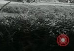 Image of Viet Cong watching U.S. soldiers in Jeep Vietnam, 1965, second 19 stock footage video 65675032686