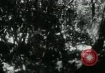 Image of Viet Cong digging trenches Vietnam, 1965, second 3 stock footage video 65675032687