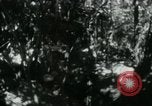 Image of Viet Cong digging trenches Vietnam, 1965, second 4 stock footage video 65675032687