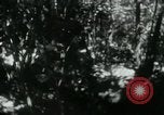 Image of Viet Cong digging trenches Vietnam, 1965, second 5 stock footage video 65675032687