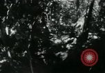 Image of Viet Cong digging trenches Vietnam, 1965, second 6 stock footage video 65675032687