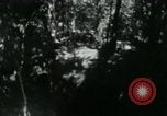 Image of Viet Cong digging trenches Vietnam, 1965, second 7 stock footage video 65675032687
