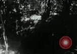 Image of Viet Cong digging trenches Vietnam, 1965, second 9 stock footage video 65675032687