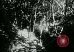 Image of Viet Cong digging trenches Vietnam, 1965, second 14 stock footage video 65675032687