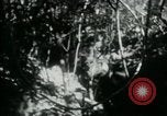 Image of Viet Cong digging trenches Vietnam, 1965, second 16 stock footage video 65675032687
